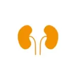 Gesundheits- und Krankenpfleger:in (m/w/d) in Teilzeit - Wir freuen uns auf Sie! Urologie Frohnau Berlin 13465